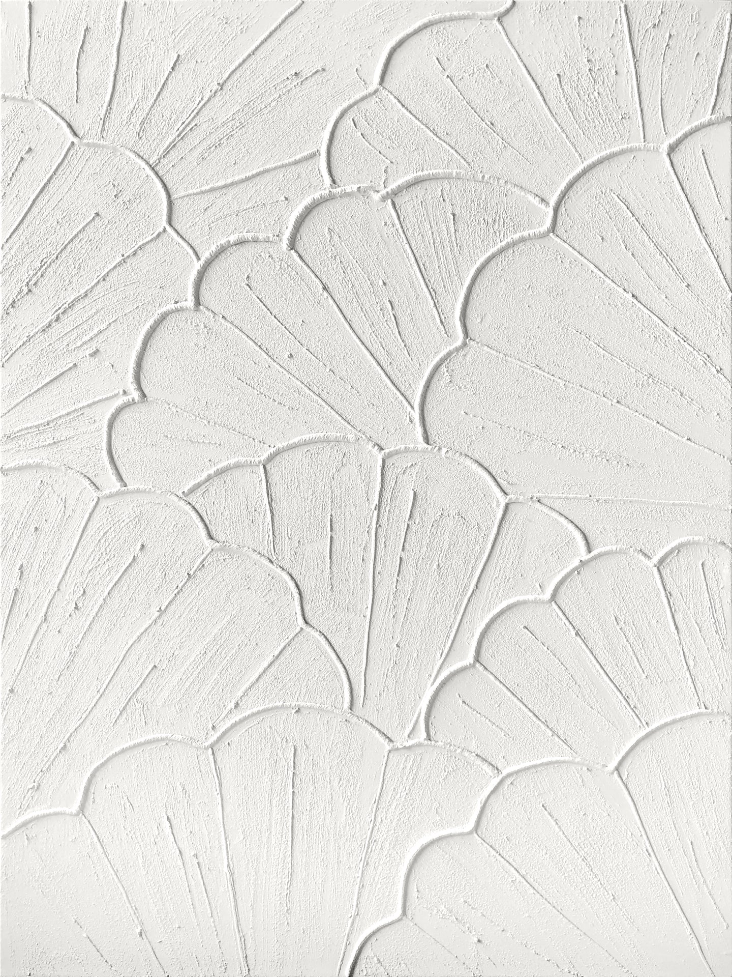 TEXTURED SHELL CANVAS