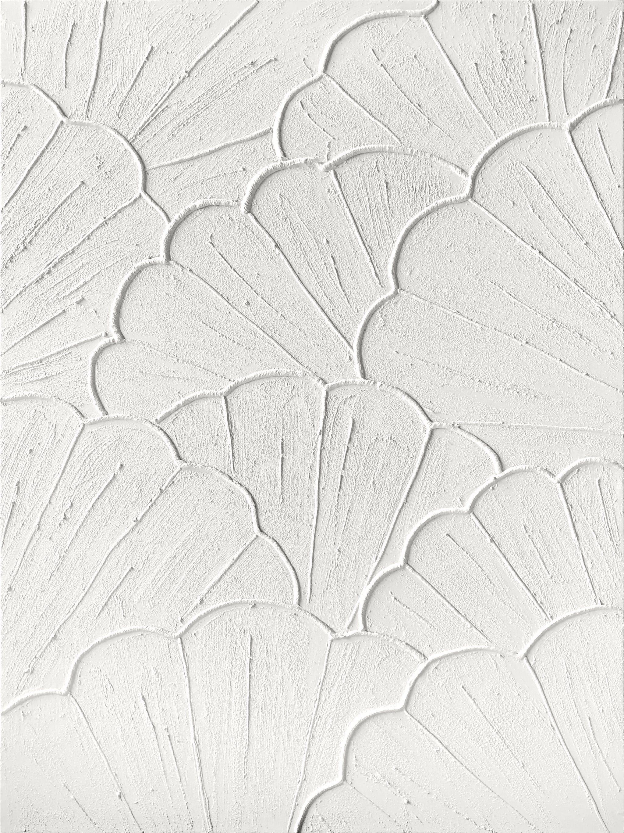 TEXTURED SHELL CANVAS