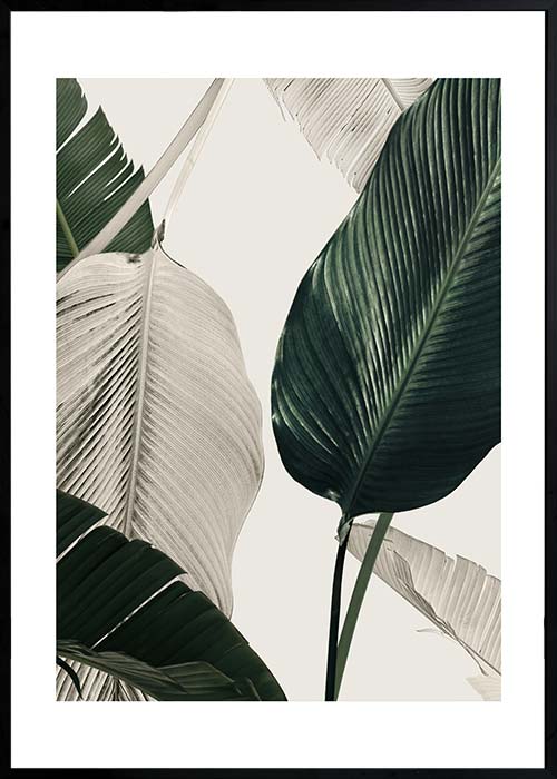 PALM LEAVES CANVAS