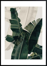 PALM LEAVES CANVAS