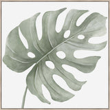 SET OF x3 LEAF CANVASES