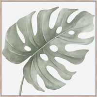 SET OF x3 LEAF CANVASES