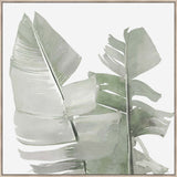 SET OF x3 LEAF CANVASES