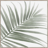 SET OF x3 LEAF CANVASES