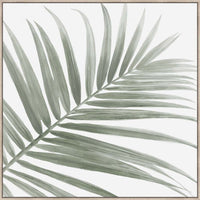 SET OF x3 LEAF CANVASES