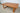 ROME WORMY CHESTNUT COFFEE TABLE