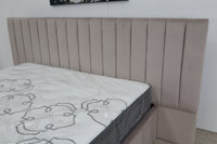 SOPHIA CHAMPAGNE VELVET QUEEN BED